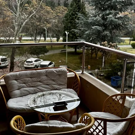 Sunny Park Retreat Apartment *